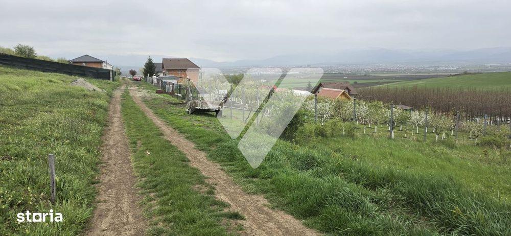 Investitie - Teren intravilan 536 mp Sura Mare ideal constructii