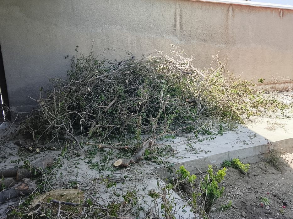 Õtin sotiladi hamsi