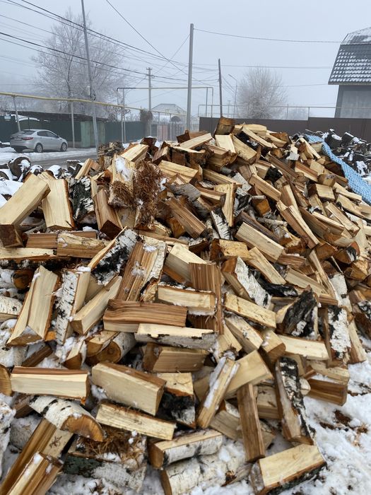 Берёза Дрова Баня