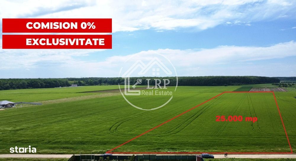 OPORTUNITATE INVESTIȚIE:Teren intravilan 25.000mp Dascalu-Padure, par