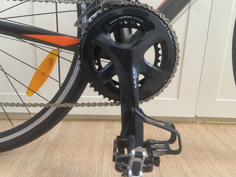 Giant Contend 1 2025
