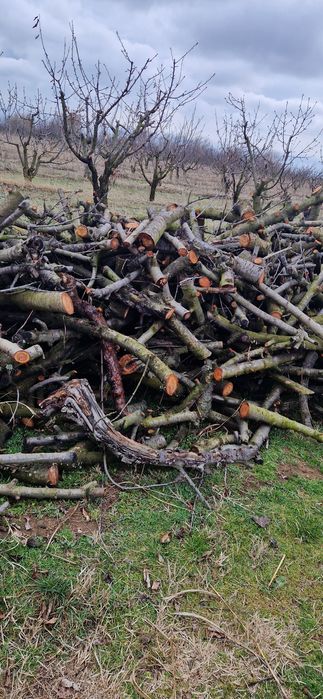 дърва за огрев-череша