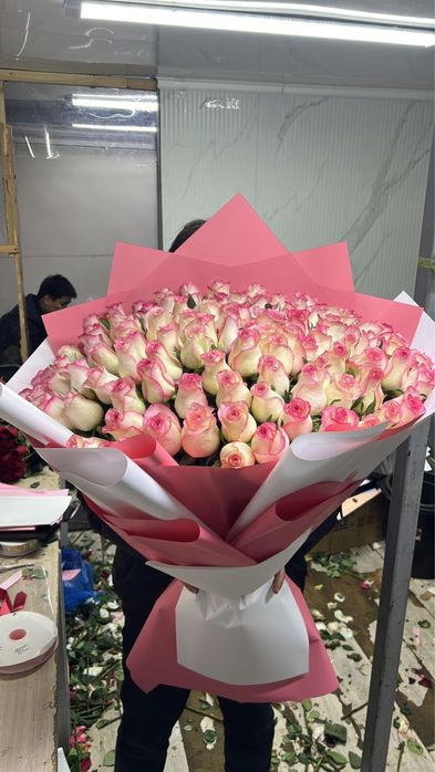 51 роза Голландские метр