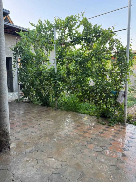 Хонобод, Беруний маҳалласида уй сотилади!