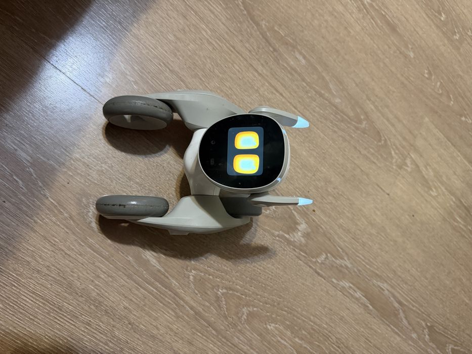 Vand robot Loona Petboot