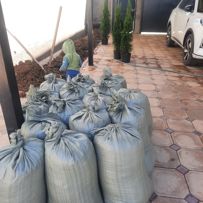 Чернозем.  Таза көң