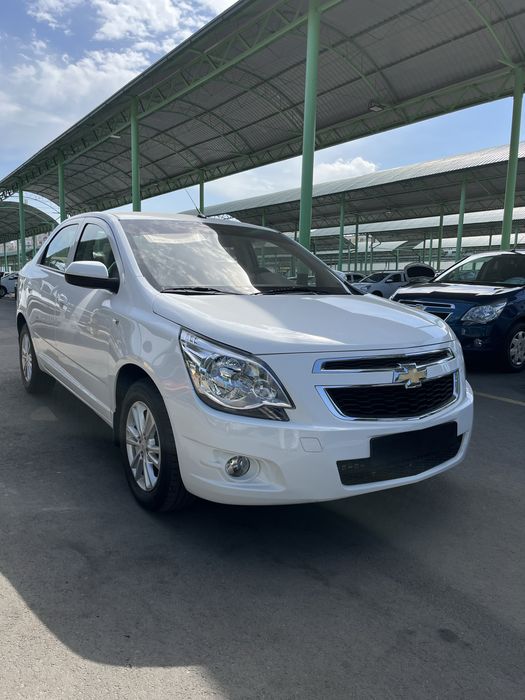 Cobalt 2022 srochno Variant bor