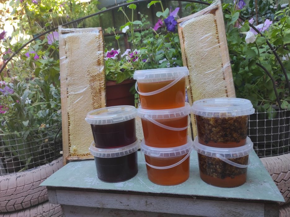 Продам СОТОВЫЙ МЁД со своей пасеки