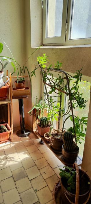 Дархан, Кары Ниязова 3-4-5, Срочно!