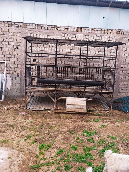 Qoʻyxonalar sotiladi manzil Toshkentda Xasanboyda