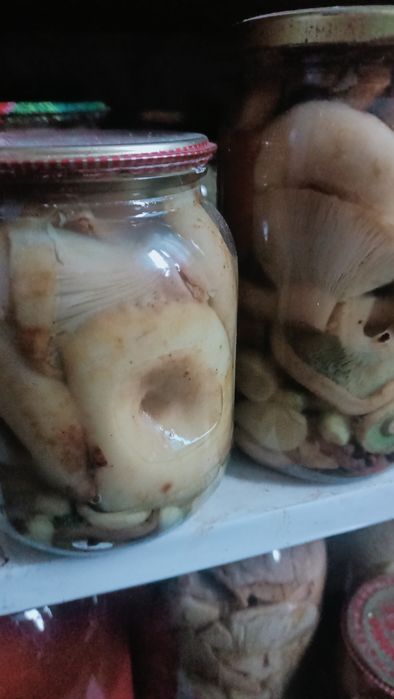 Грибы грузди , маринованные