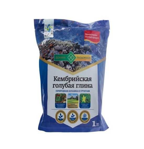 Кембрийская голубая глина