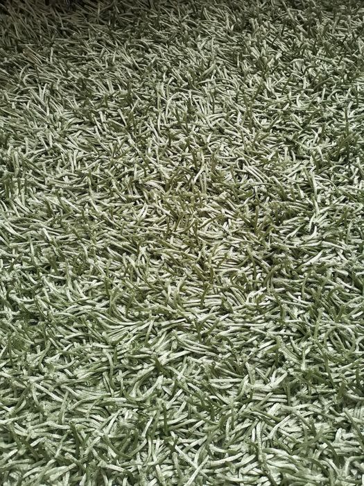 Vand covor nou, fir lung, culoarea verde olive, fabricat in India