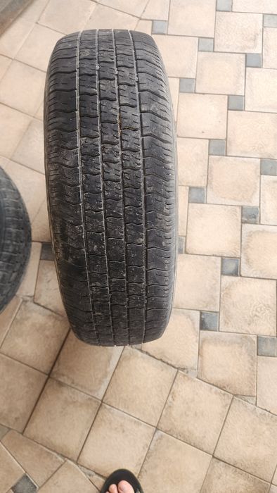 Balon sotiladi 13 damas laboga juguliga shina balon