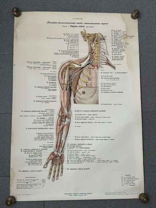 Комплект Соц Медицински Плакати 1951 година