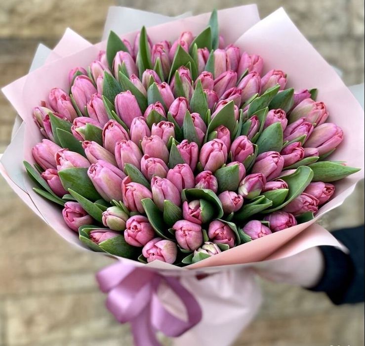 Тюльпаны предзаказ