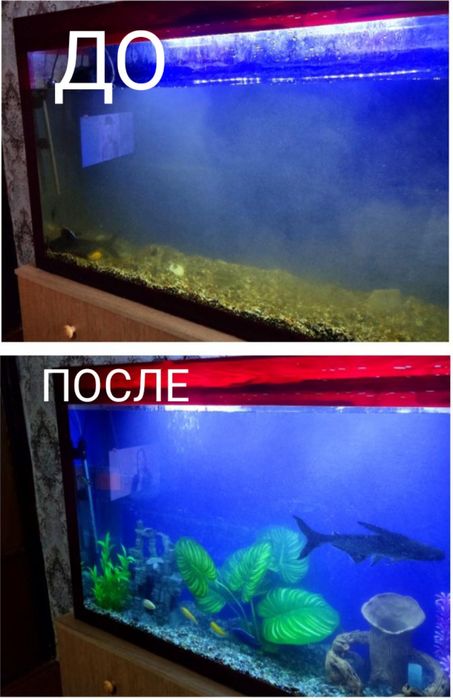 Чистка аквариума , оформление запуск качественное обслуживание
