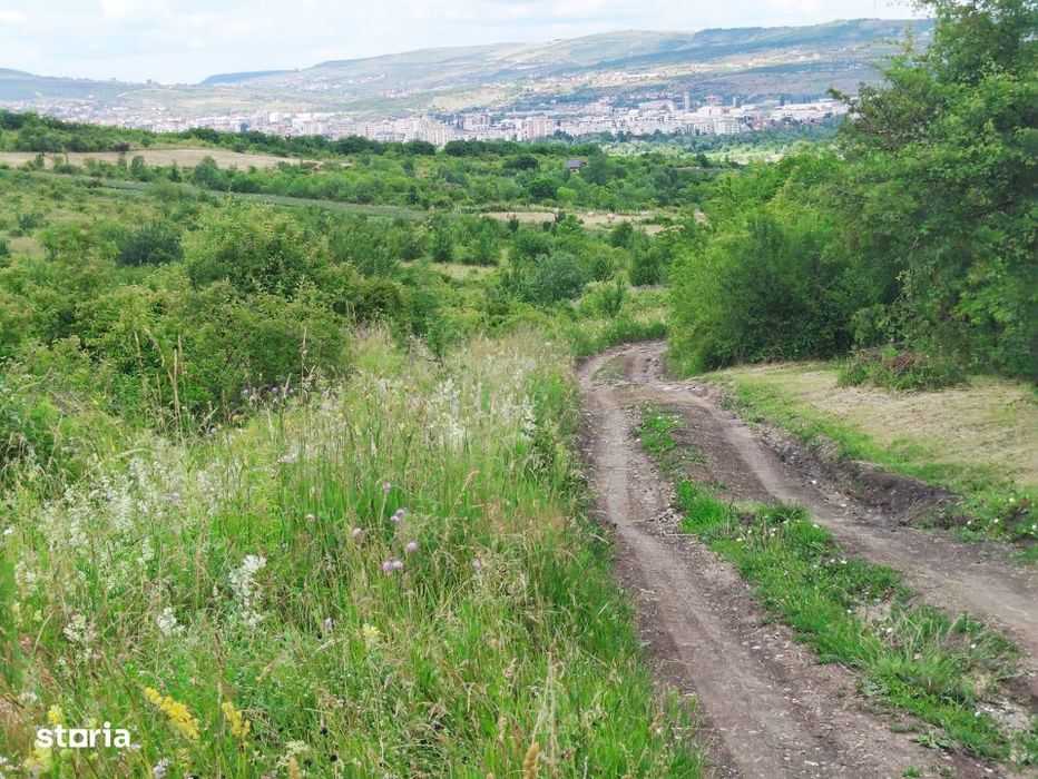 Teren Pentru Refugiul Tau In Natura - Borhanci