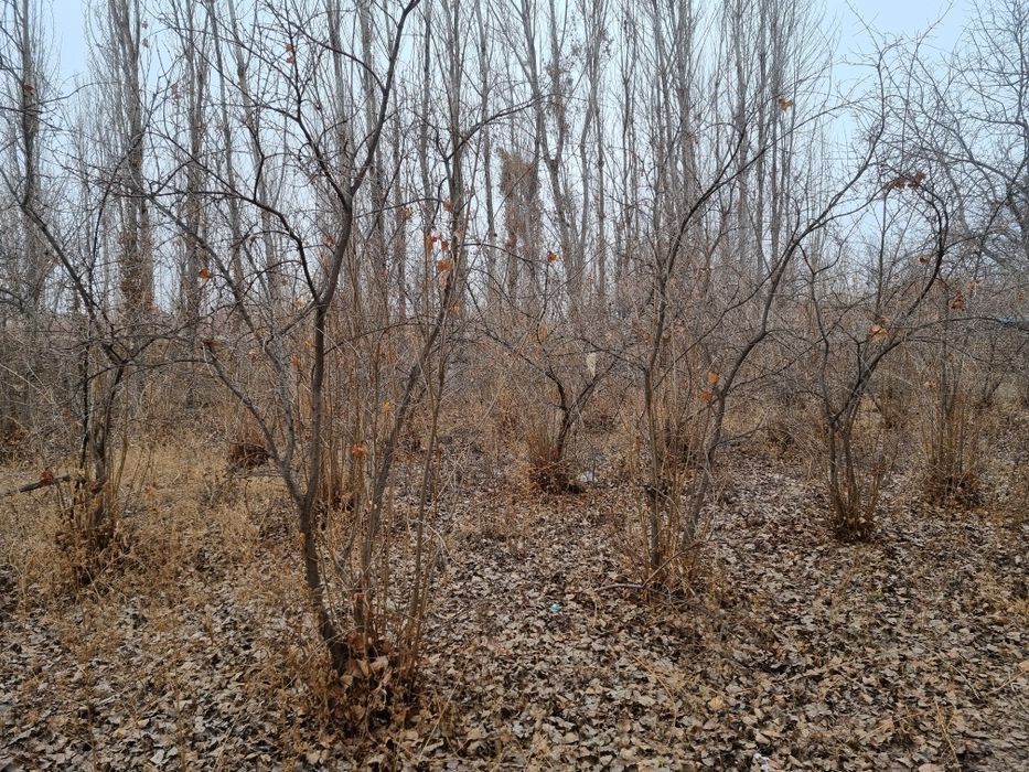 Xujjatlari tayyor 10 sotix yer uchastkasi sotiladi  tel