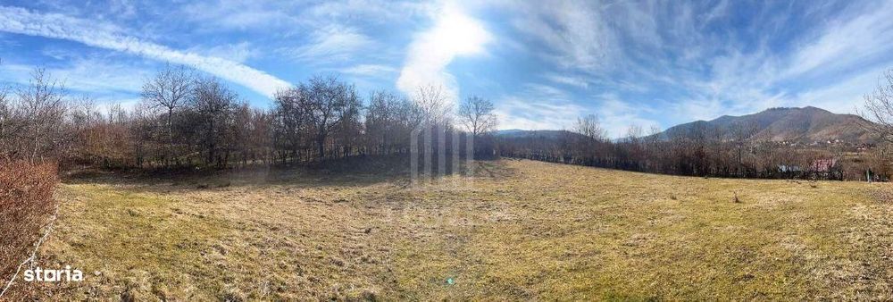 Teren intravilan 2.295 mp, deschidere 60 m – Rășinari, comision 0%