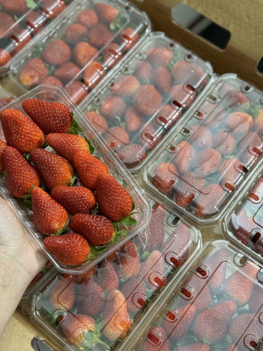 Клубника свежая