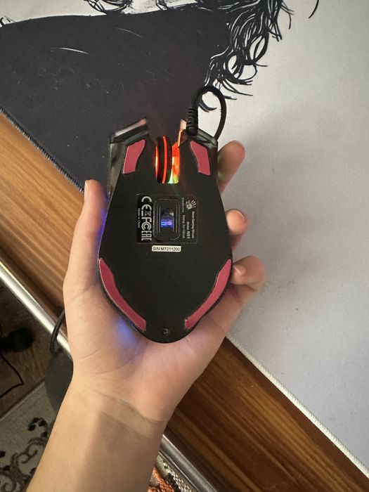 Мышка, клавиатура