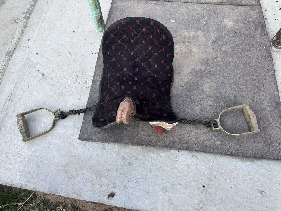 Қараспан көкпар егар