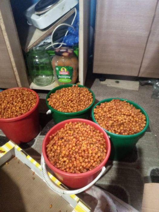 Продам облепижу мороженую