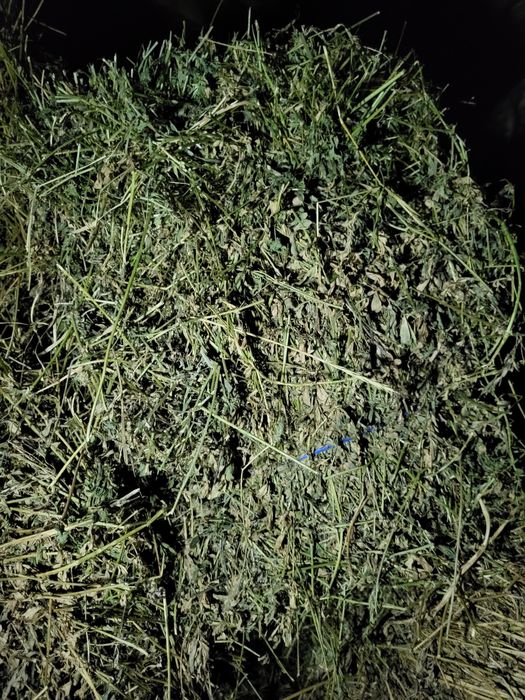 Vand baloti de lucerna