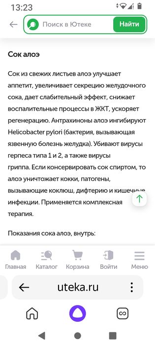 Алоэ Вера цветок