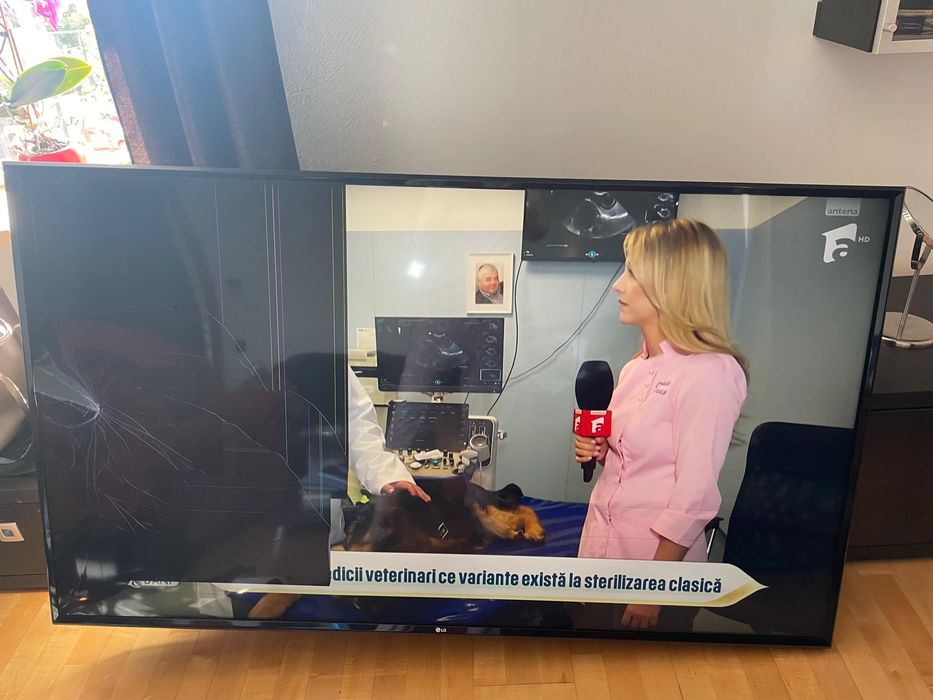 Televizor LG diag. 165 cm ecran spart