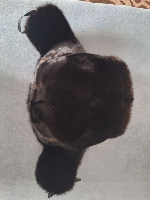 Продам ушанку в отличном состоянии.