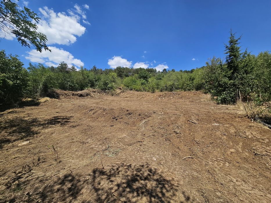 Панорамен парцел