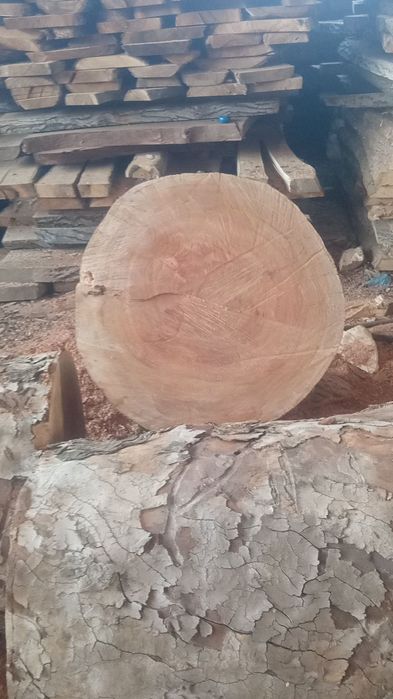 Goshtonka aga zakas olamza