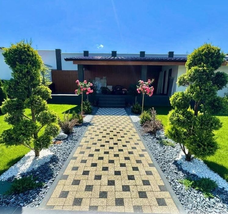 Plante ornamentale calitate premium