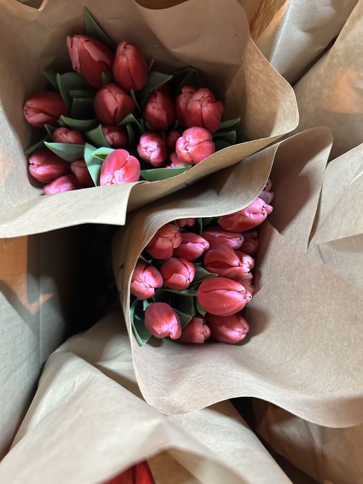 Тюльпаны голандские рост 50-60 см