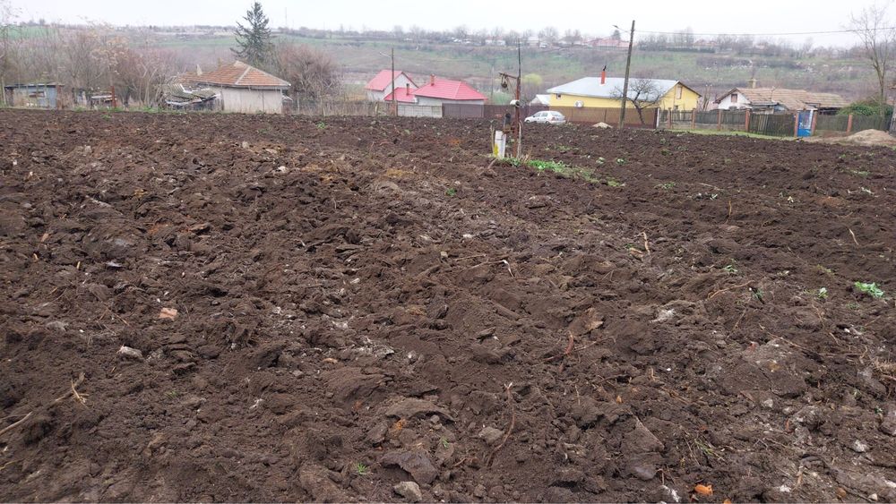 vand teren 1800mp - Teleorman - intravilan - utilitati