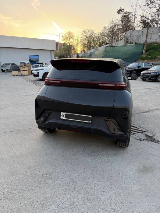 Seagull byd flying. 2024yil. Spark o'rniga. Srochna sotiladi.