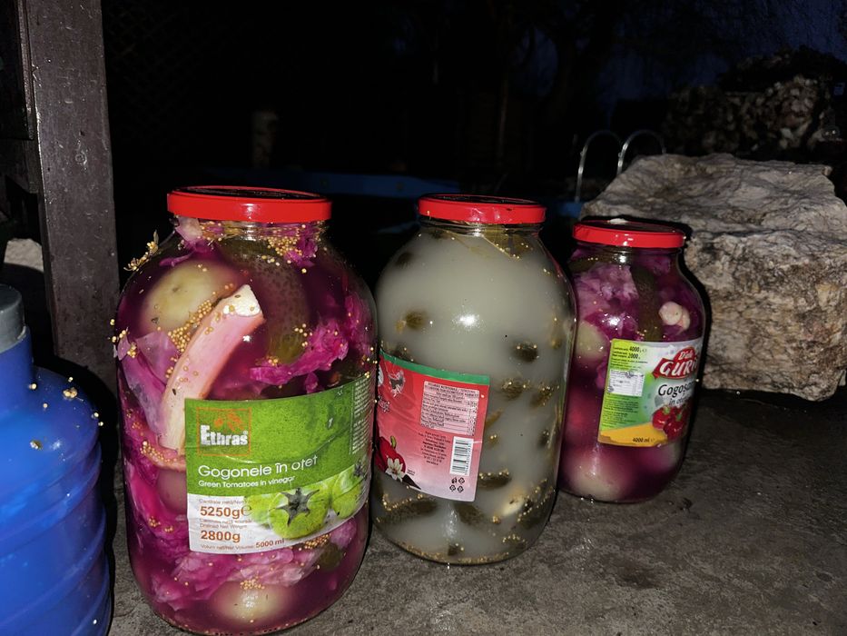 Castraveti /gogonele murate si varza murata in saramura