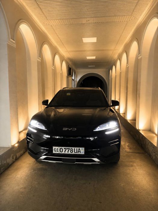 Byd chempion smart
