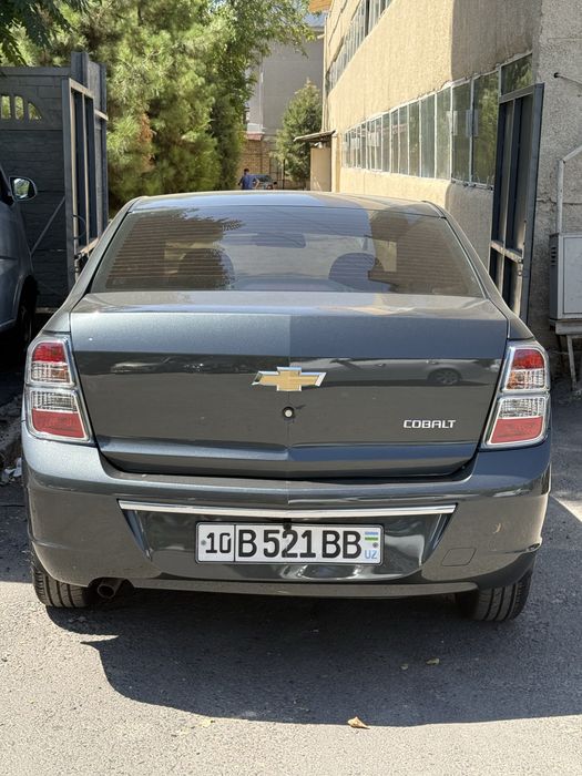 Cobalt stayl 2025