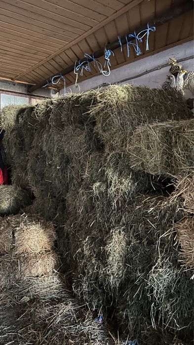 Vând baloți de otavă și fân