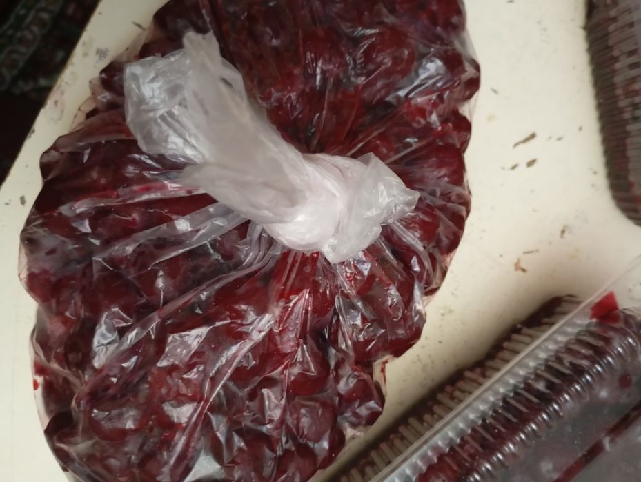 Ягода местная вишня