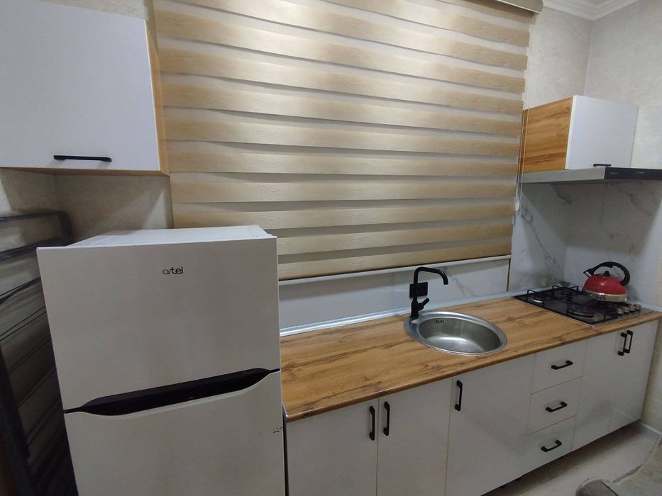 Мирзо Улугбек аренда семя и студентов