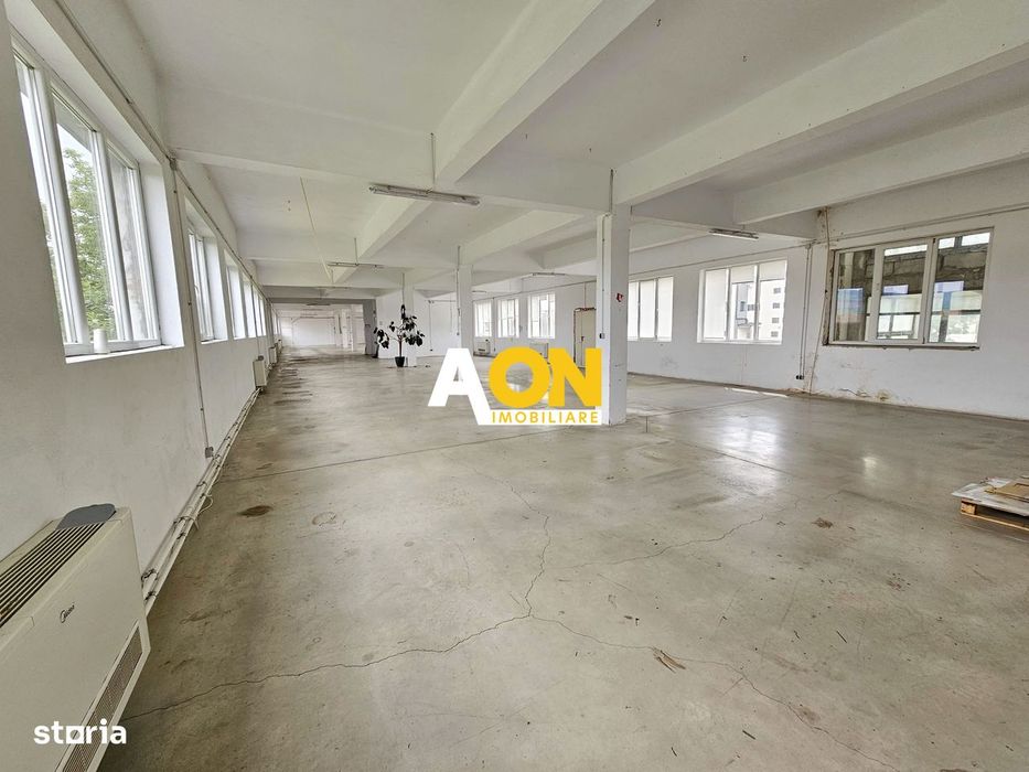Spatiu industrial pentru productie sau depozitare, 1600 mp, Sebes - Vedere 3