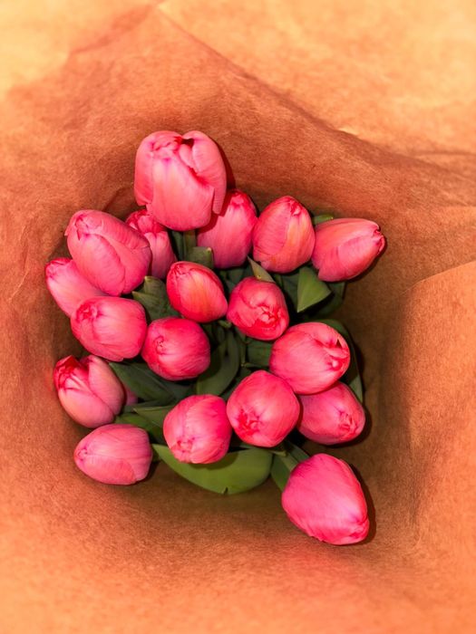 Тюльпаны оптом и в розницу