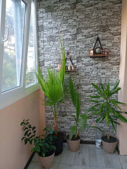 Продава се Тристаен апартамент в Ямбол, Златен рог - 78 кв.м за 1154 €/кв.м - Снимка #15