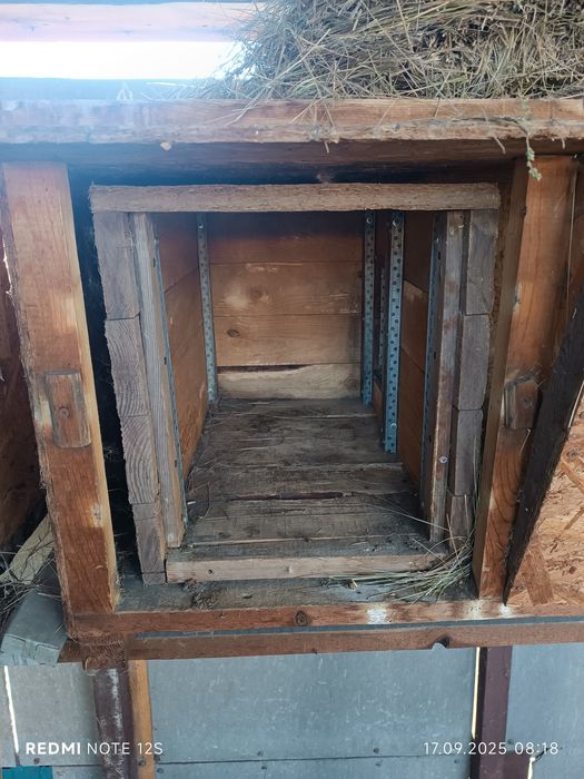 Клетки для кроликов