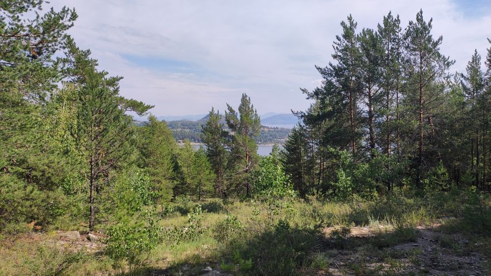 Земля в курортной зоне