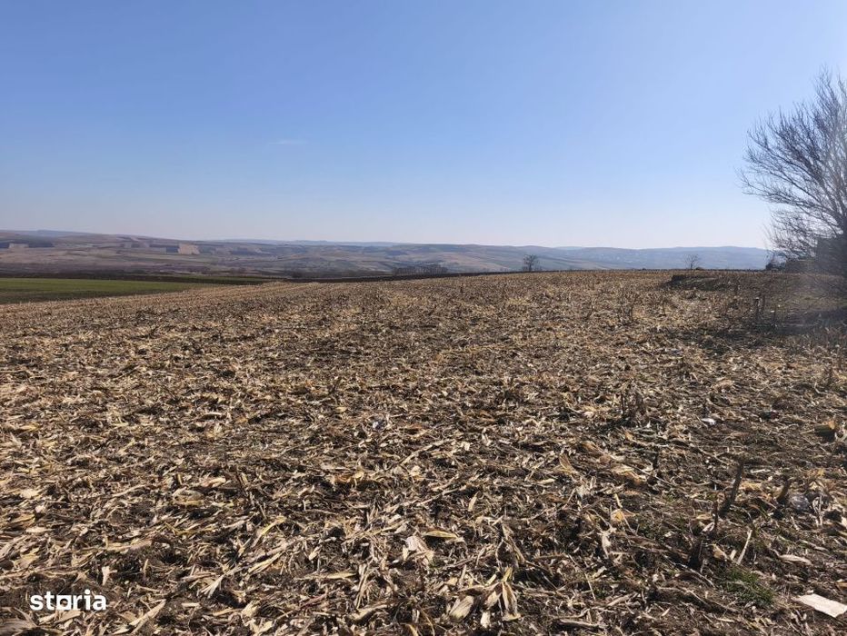 Teren 6500mp, 40ml deschidere la E85, Granicesti, Suceava